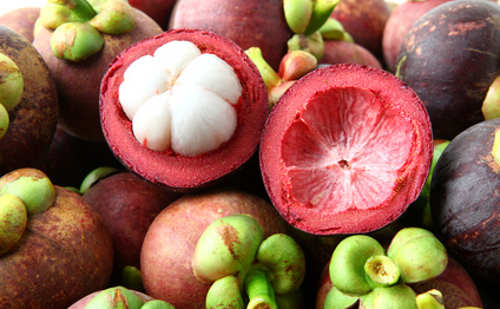 Garcinia